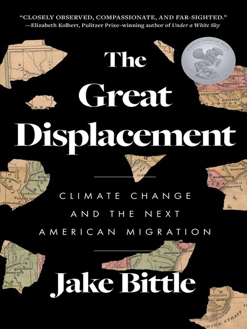 Couverture de The Great Displacement